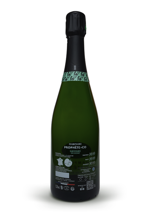 Champagne BLANC DE BLANCS