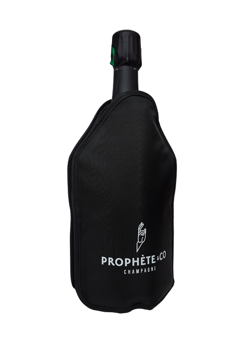 Rafraîchisseur de bouteille